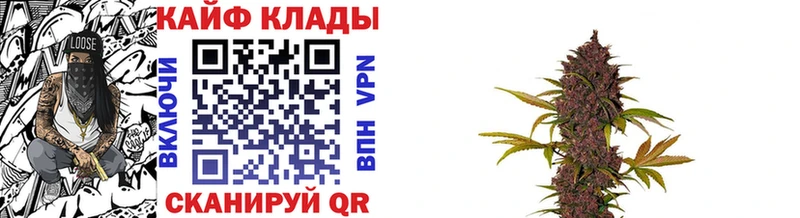 Псилоцибиновые грибы Камень-на-Оби