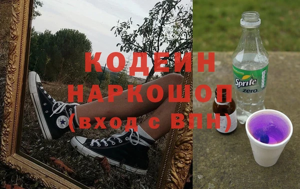 прущие грибы Гусев