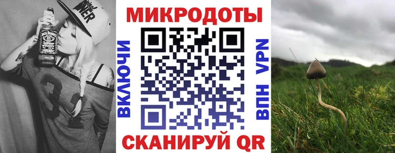 гидра tor Камень-на-Оби Псилоцибиновые грибы GOLDEN TEACHER что такое наркотик